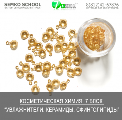 [7koschool] Косметическая химия. Блок 7 Увлажнители. Керамиды [Анастасия Семко]