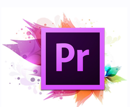 Adobe Premiere Pro CC. Экспресс курс [Алексей Днепров]