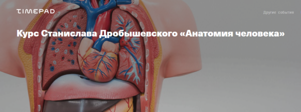 [Архэ] Анатомия человека 2024. Остеология: скелет [Станислав Дробышевский]