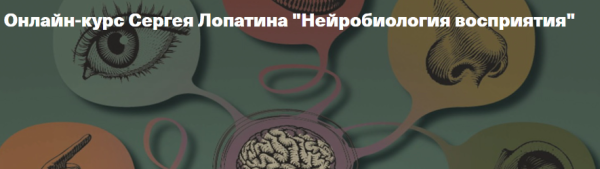 [Архэ] Нейробиология восприятия. Зрение. От фотона к мозгу. Лекция 1 [Сергей Лопатин]