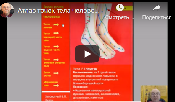 Атлас точек тела человека [Владимир Завортный]