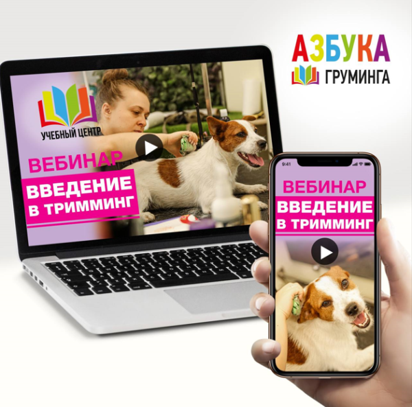 [Азбука Груминга] Тримминг для начинающих [Ксения Селезнёва]