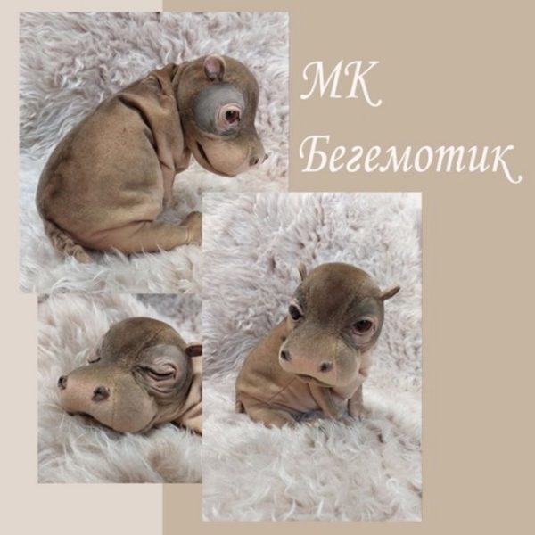 Бегемотик [Валентина Крижановская]