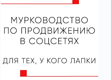 [Белый Цифровой Кот] Мурководство. Тариф В PDF формате [Иван Тутынин]