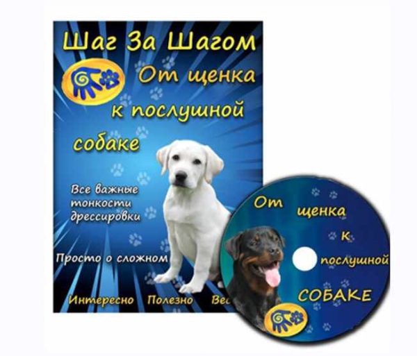 [best4puppy] Шаг за шагом. От щенка к послушной собаке
