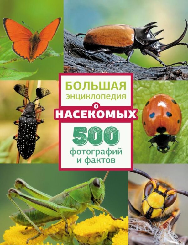 Большая энциклопедия о насекомых. 500 фотографий и фактов [Анна Спектор]