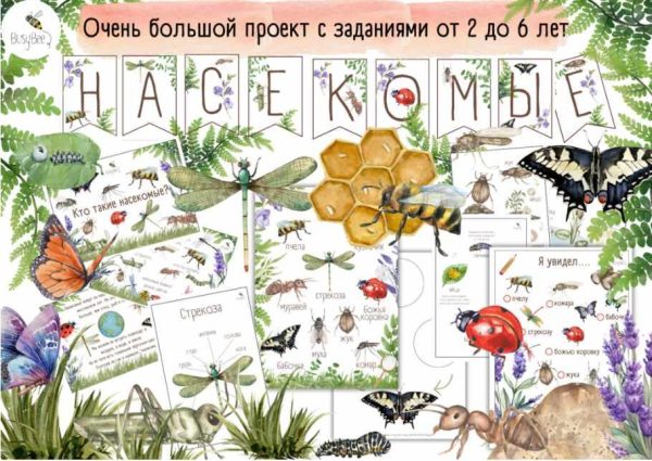 [busy-bee] Большой проект Насекомые [Елена Самсонова]