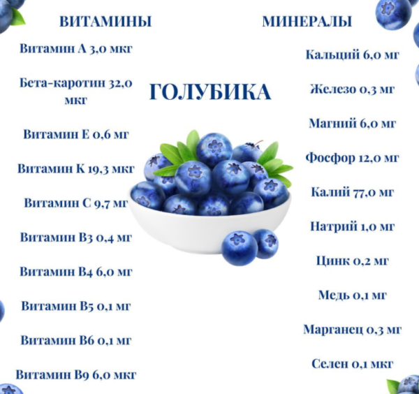 Чек-лист Голубика 2.0 и немного про клюкву [Татьяна Холомьева]
