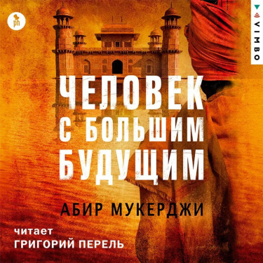 Человек с большим будущим. Аудиокнига [Абир Мукерджи]