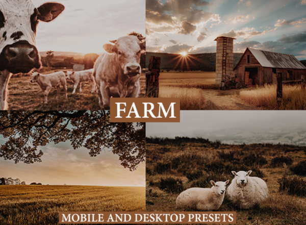 [Creativefabrica] Cinematic Farm Lightroom Presets