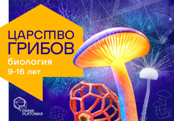 Царство грибов. Курс о самых необычных организмах на планете [Владимир Гмошинский]