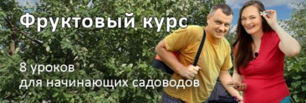 [Дачный агроном] Фруктовый курс  [Вячеслав Грисюк, Юлия Петровна]