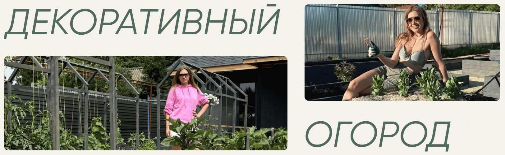 Декоративный огород. Тариф Дачник [Анна Акинина]