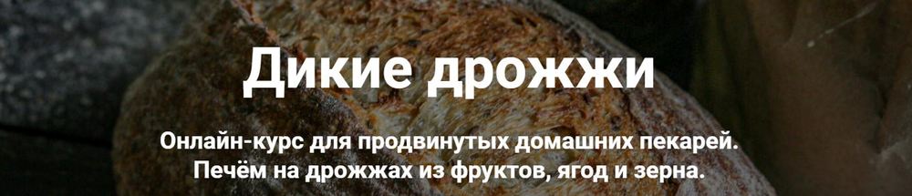 Дикие дрожжи [Ахмед Али-заде, Ольга Ткаченко]