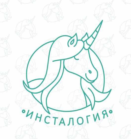 Экспресс курс: INSTAлогия [Александра Митрошина]