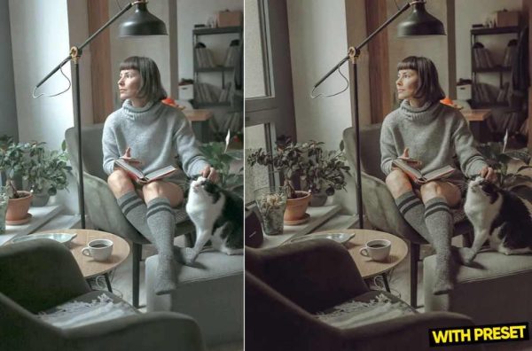 [Envato Market] ARTA  пресеты ленивого дня для Lightroom