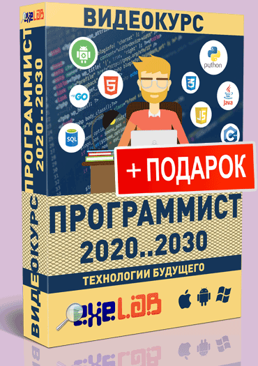 [eXeL@B] Видеокурс Программист 2020…2030