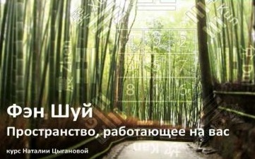 Фэн шуй. Алгоритмы решений. Урок 9. Транскрибация [Наталия Цыганова]
