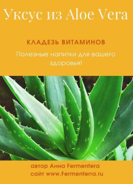 [Fermenterra] Уксус из алоэ вера [Анна Fermenterra]