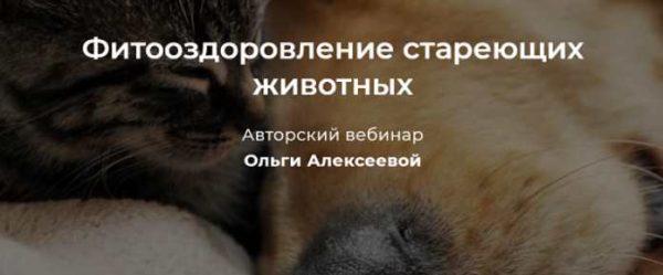 Фитооздоровление стареющих животных [Ольга Алексеева]