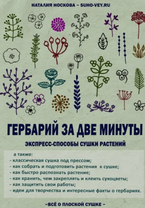 Гербарий за две минуты. Пособие по плоской сушке растений [Наталия Носкова]