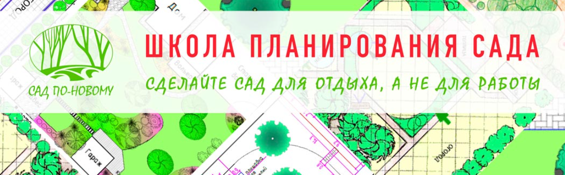 Как подобрать кустарники в композиции, которые украсят ваш сад, 2015 [Наталья Мягкова]