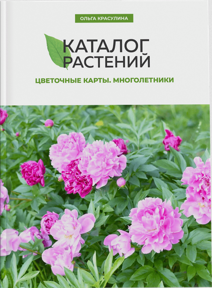 Каталог растений. Цветочные карты. Многолетники [Ольга Красулина]