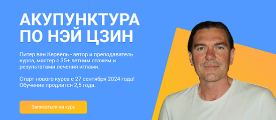 [Краниосакральная академия] Акупунктура по Нэй Цзин. Семинар 9 [Питер ван Кервель]