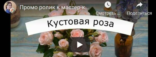 Кустовая роза Свит Сара [Татьяна Карелина]