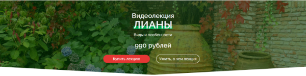 Лианы. Виды и особенности использования [Наталья Мягкова]