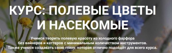[Liubov Miro Clay School] Полевые цветы и насекомые. Тариф Расширенный [Любовь Мирошниченко]
