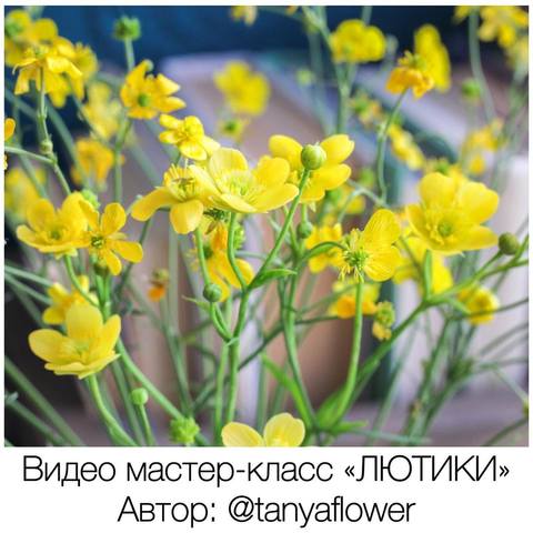 Лютики из холодного фарфора [Татьяна Кононова]