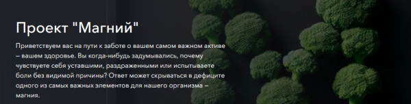 Магний. Тариф Основной [Гульфия Павлова]