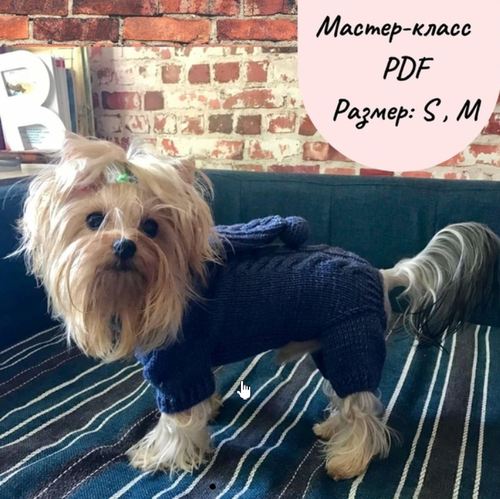 Мастер  класс по вязанию комбинезона Джинс для собаки [Моськин гардероб]