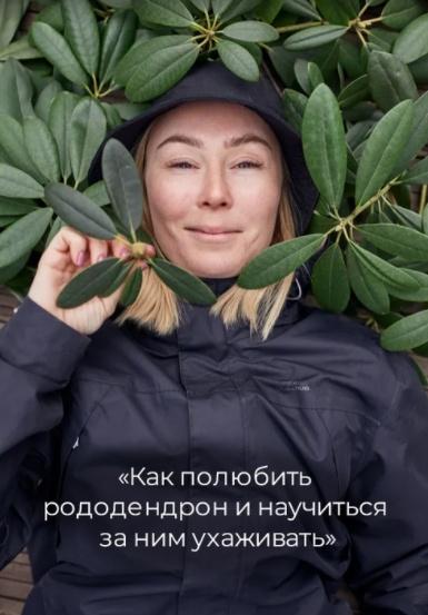 Методичка Как полюбить рододендрон и научиться за ним ухаживать [gardenforesta]