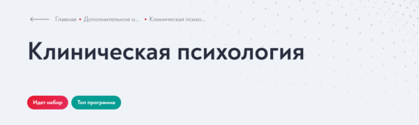 [Московский институт психоанализа] Клиническая психология 2023-2024. Месяц 4