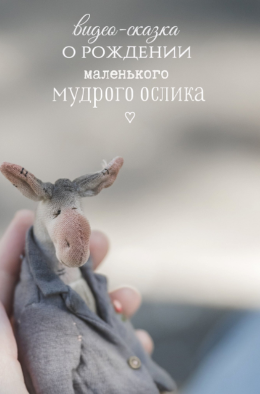 Мудрый ослик [Наталья Суранова]