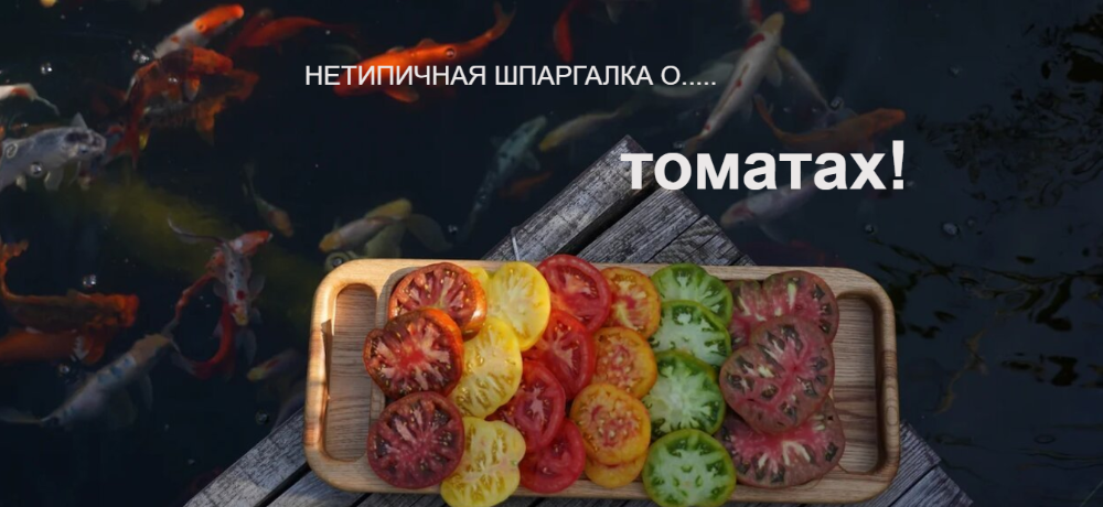 [Нетипичный Фермер] Нетипичная шпаргалка о томатах [Анна Акинина]