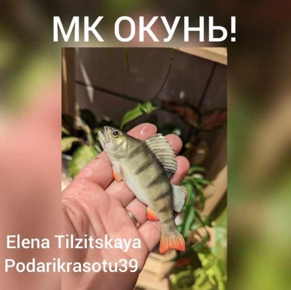 Окунь [Елена Тильзитская] @podarikrasotu39