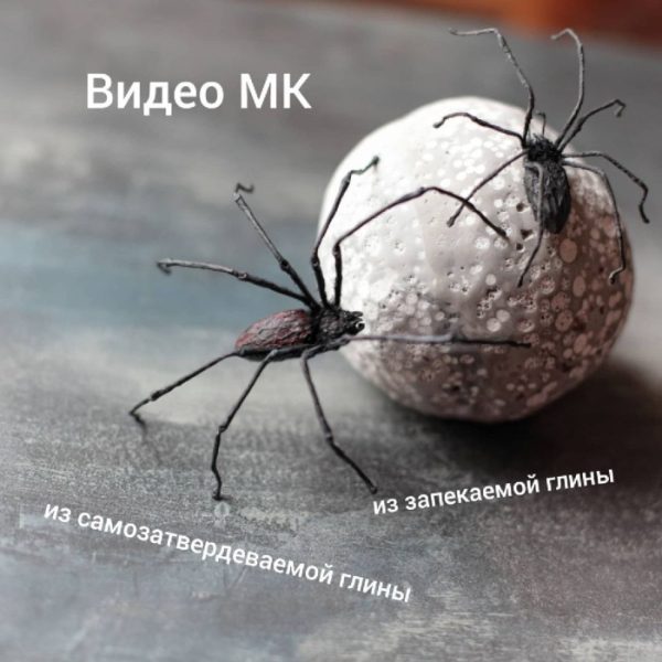 Пауки [Анна Рудая]