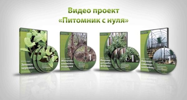 Питомник с нуля 2014 [Евгений Федотов]