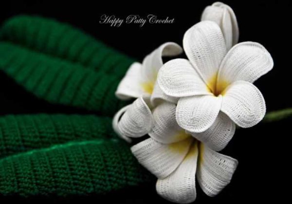 Plumeria Flower/Цветок Плюмерии [HappyPattyCrochet]