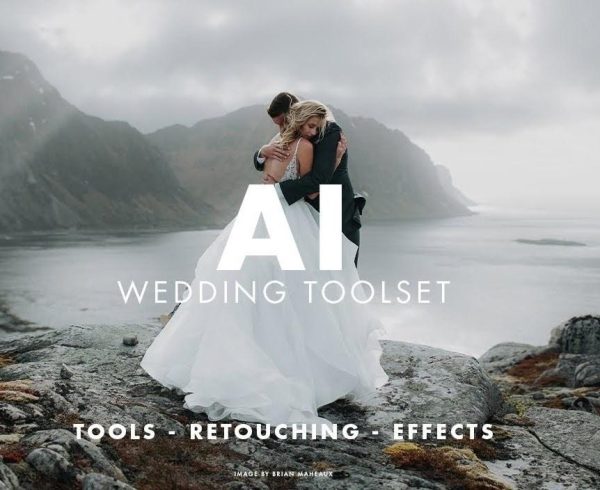 Пресеты  AI Wedding Toolset, 2023 [Tribe Archipelago]