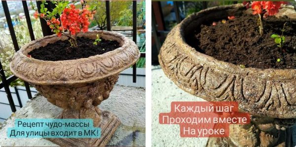 Превращение пластикового вазона в каменный [Елена Юрьева]