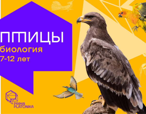 [Prima Platonika] Птицы: Курс о самых красивых и звучных животных планеты [Юлия Кожевникова]