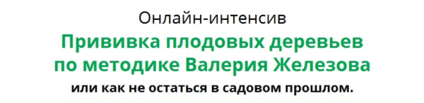 Прививка плодовых деревьев [Валерий Железов]