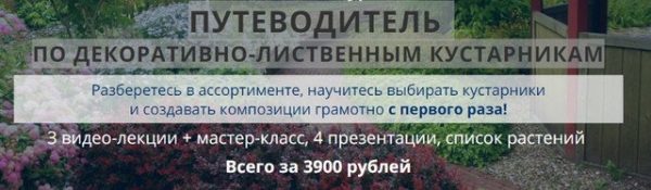 Путеводитель по декоративно-лиственным кустарникам [Наталья Мягкова]