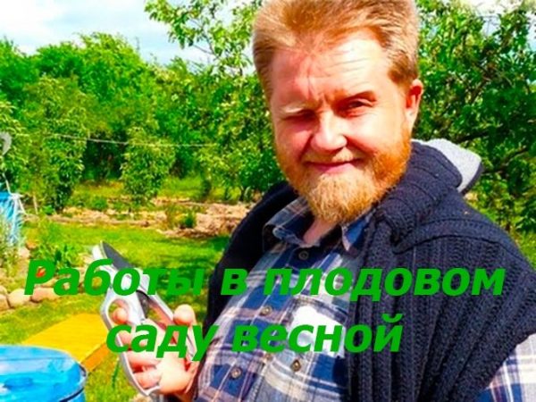 Работы в плодовом саду весной: Посадка, прививка, обрезка и формировка [Николай Курдюмов]