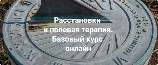 Расстановки и полевая терапия. Базовый курс 2023. Пакет Только теория [Елена Веселаго]