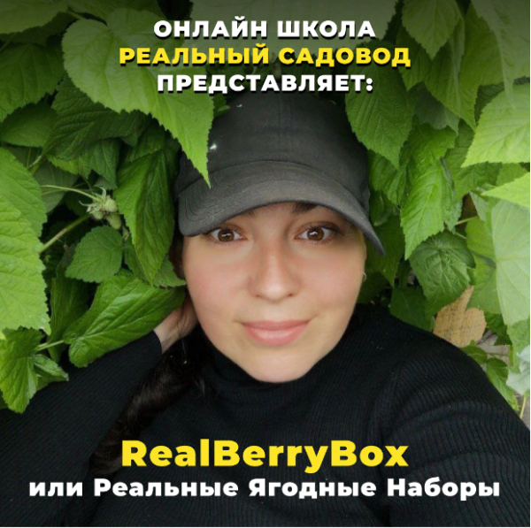 RealBerryBox. Плодись и размножайся [Татьяна Холомьева]